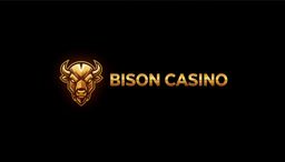 Bison_rzeszowzlotaraczka.pl_№1